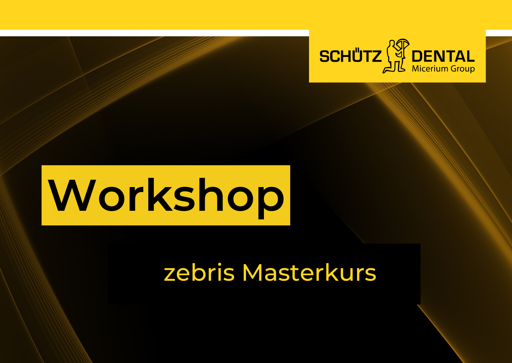 zebris Masterkurs