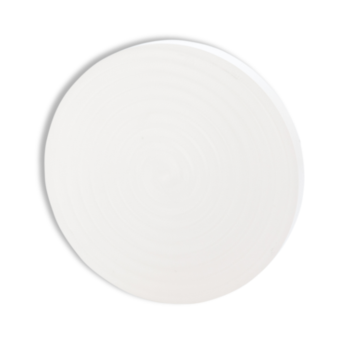 Tizian Blank PEEK White 98 x 10 mm,