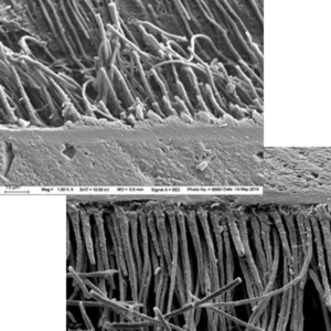 PrimeBond7, 5 ml, - Image 3